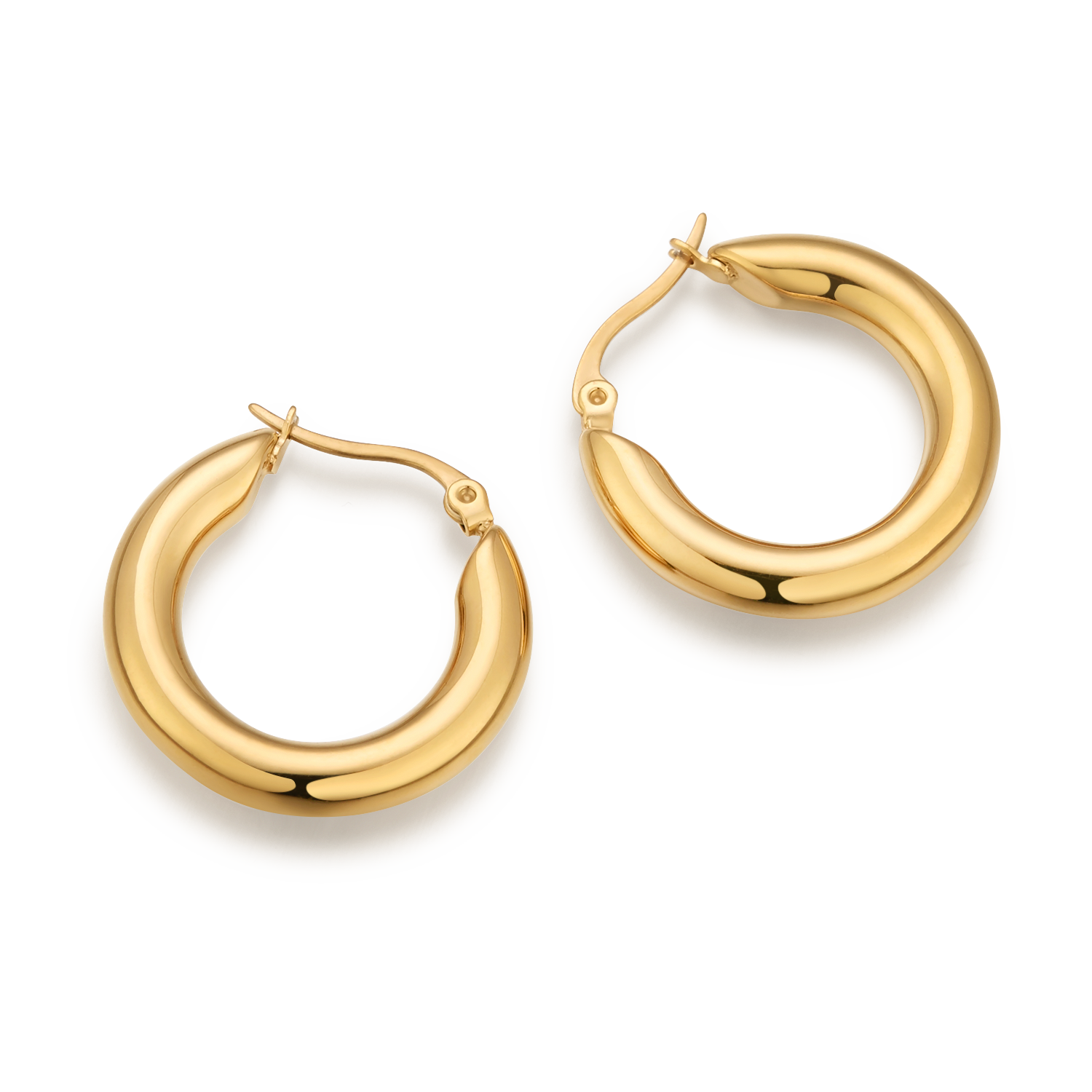 Lucia earrings