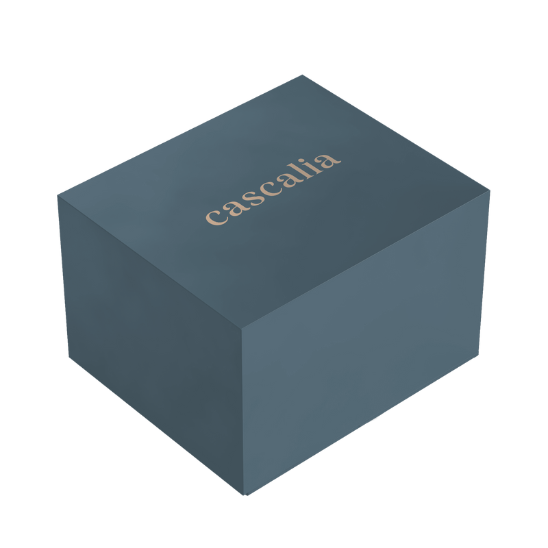 Premium Watch box