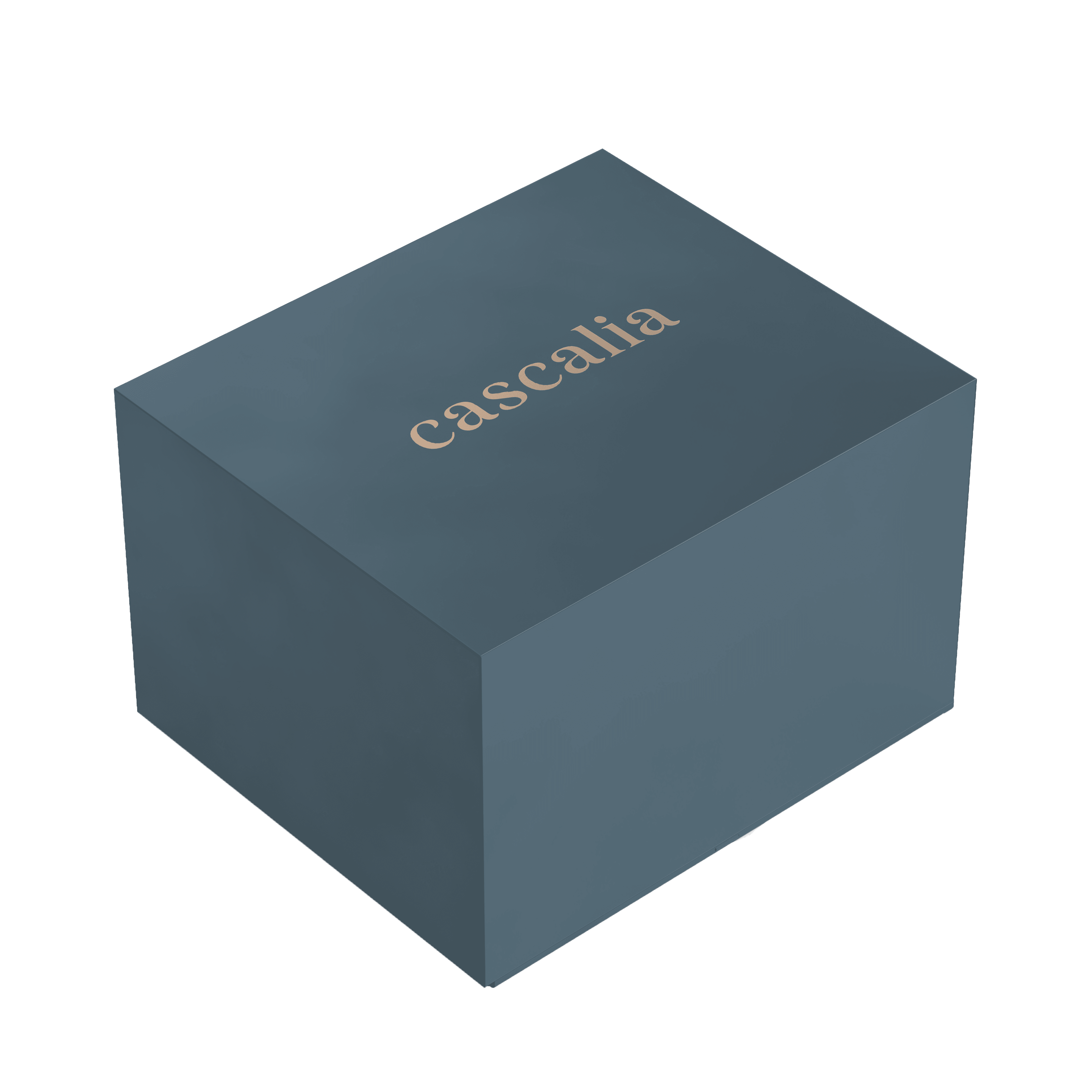 Premium Watch box - Cascalia
