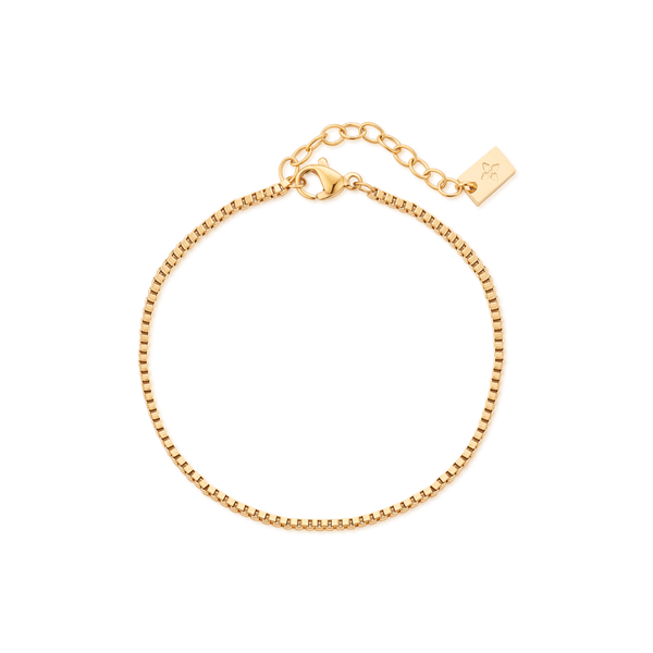 1.5mm Veda anklet – Gold