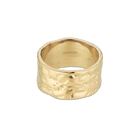 Arcus ring - Cascalia