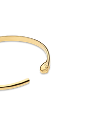 Serena Bangle