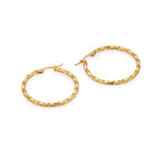 Ionia earrings