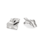 Ilaria earrings