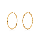 Vera earrings