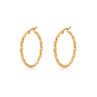 Ionia earrings