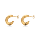 Lucina earrings