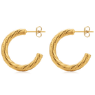 Noemi earrings