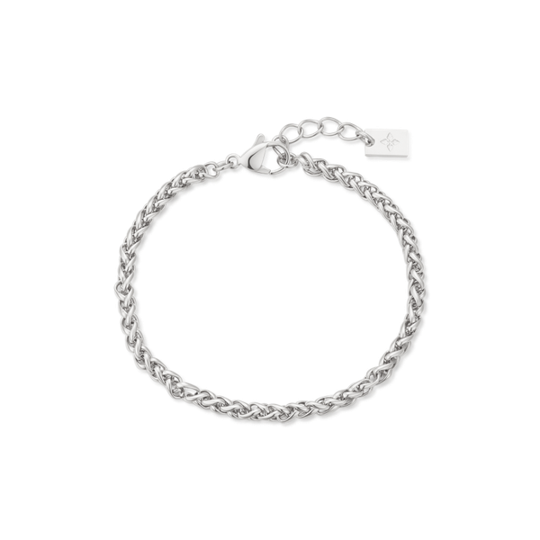 3mm Delfina anklet – Steel