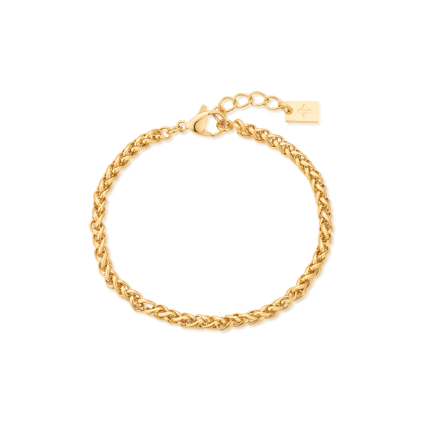 3mm Delfina anklet – Gold