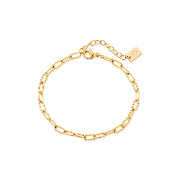 3mm Ezia anklet – Gold