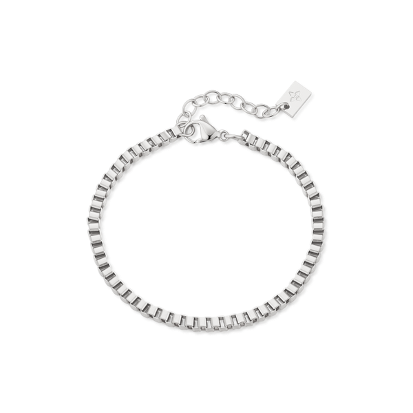 3mm Veda anklet – Steel