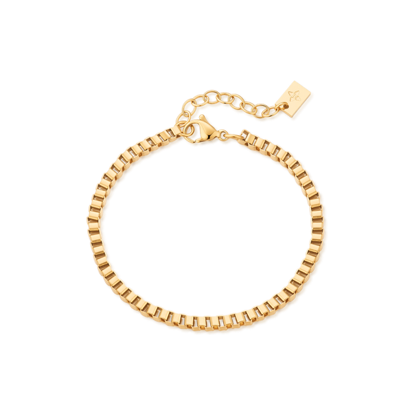3mm Veda anklet – Gold