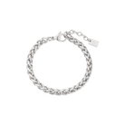5mm Delfina anklet – Steel