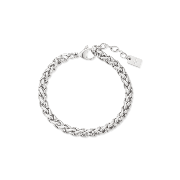5mm Delfina anklet – Steel
