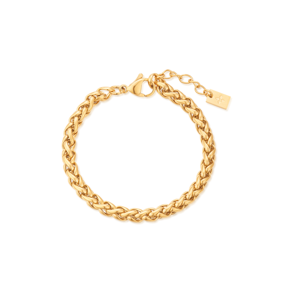5mm Delfina anklet – Gold
