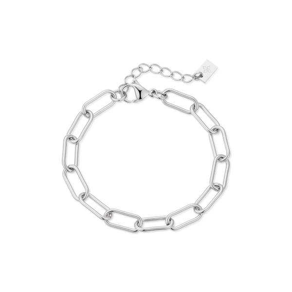 6mm Ezia anklet – Steel