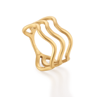 Dina ring
