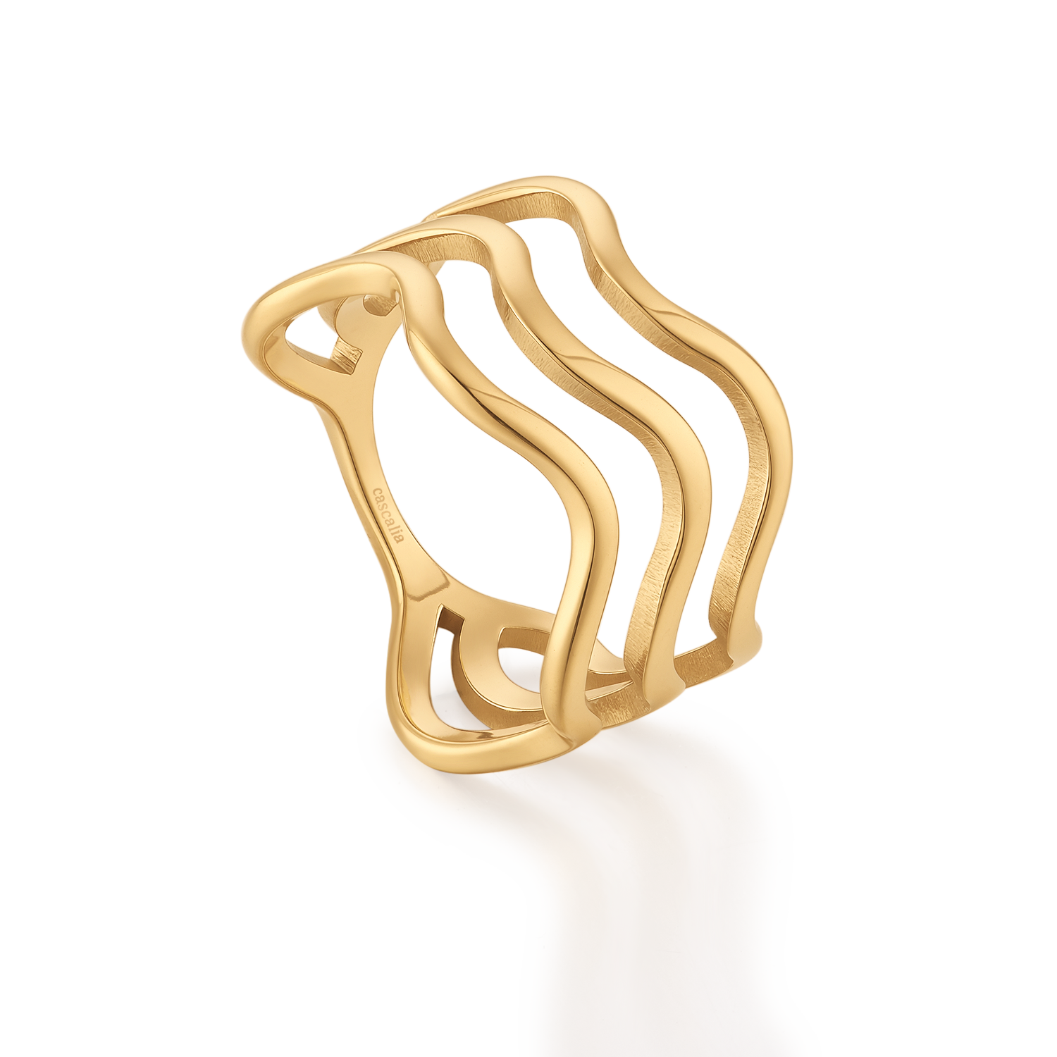 Dina ring