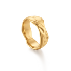 Ilia ring