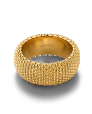 Anillo de Dante