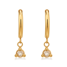 Dolce earrings