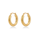 Lucia earrings