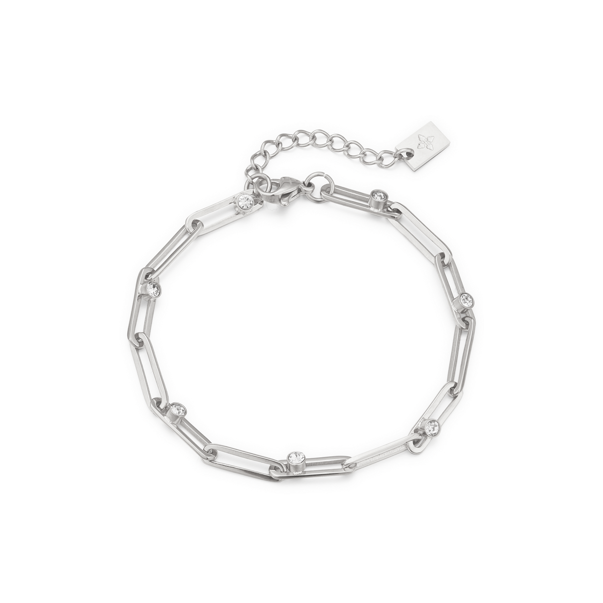 Lucrezia anklet – Steel