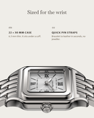 Lume Steel: 22 × 30 mm case, 6.3 mm thick