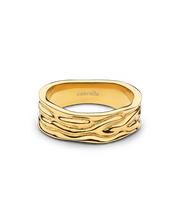 Nebbia-ring