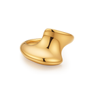 Nita ring
