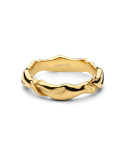 Nobile-ring