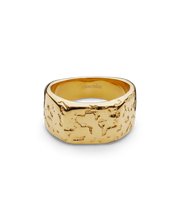 Bague Promessa Eterna