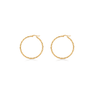 Vera earrings