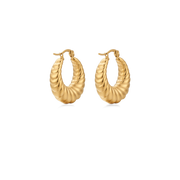 Pace earrings