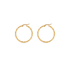 Ionia earrings