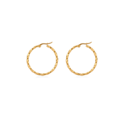 Ionia earrings
