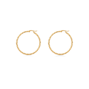 Vera earrings