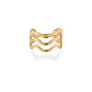 Dina ring