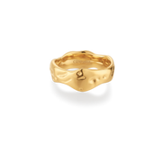 Ilia ring
